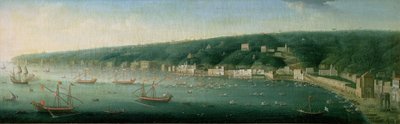 View of Naples from the East by Gaspar Butler